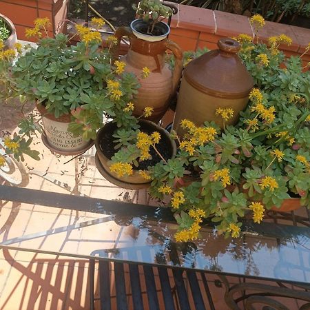 Il Giardino Nascosto 호텔 나폴리 외부 사진