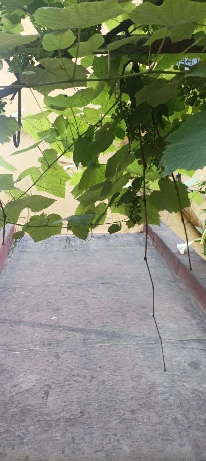 Il Giardino Nascosto 호텔 나폴리 외부 사진