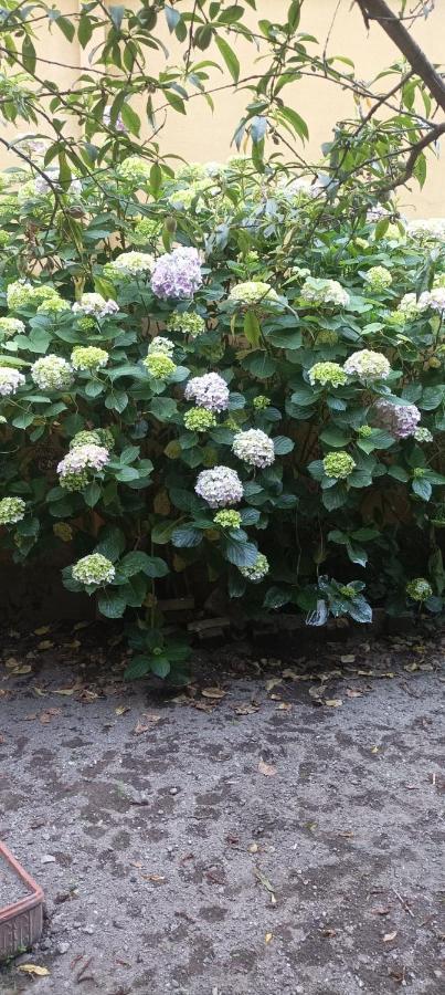 Il Giardino Nascosto 호텔 나폴리 외부 사진