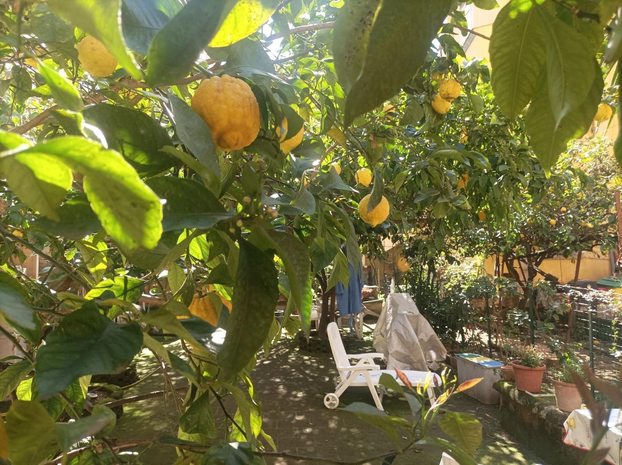 Il Giardino Nascosto 호텔 나폴리 외부 사진
