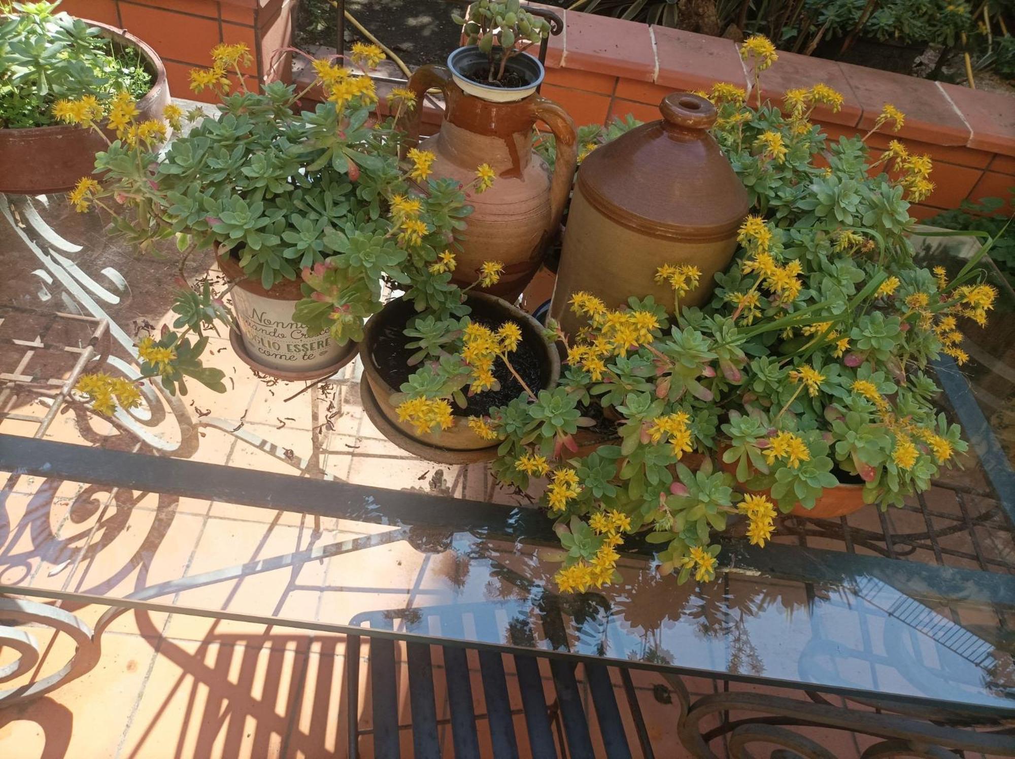 Il Giardino Nascosto 호텔 나폴리 외부 사진