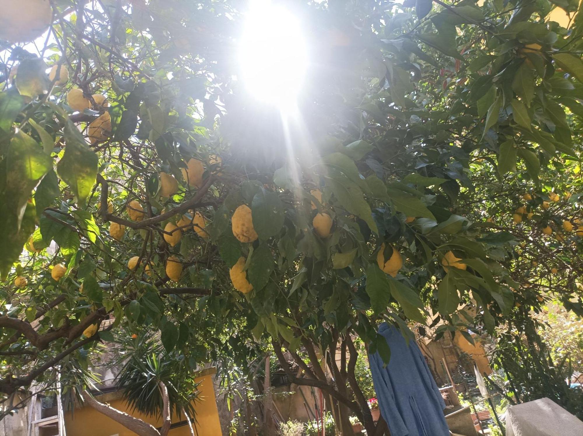 Il Giardino Nascosto 호텔 나폴리 외부 사진